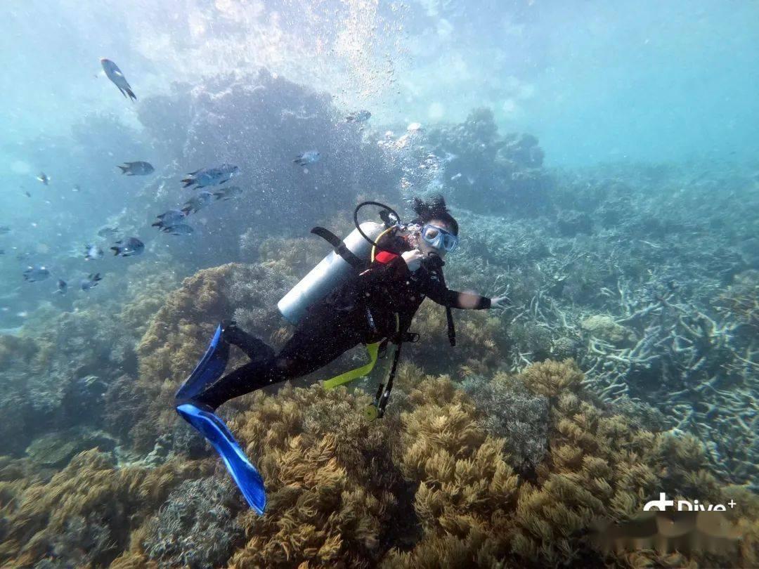 前海临海桂湾河桥通车！前海交通路网建设再添“关键一笔”